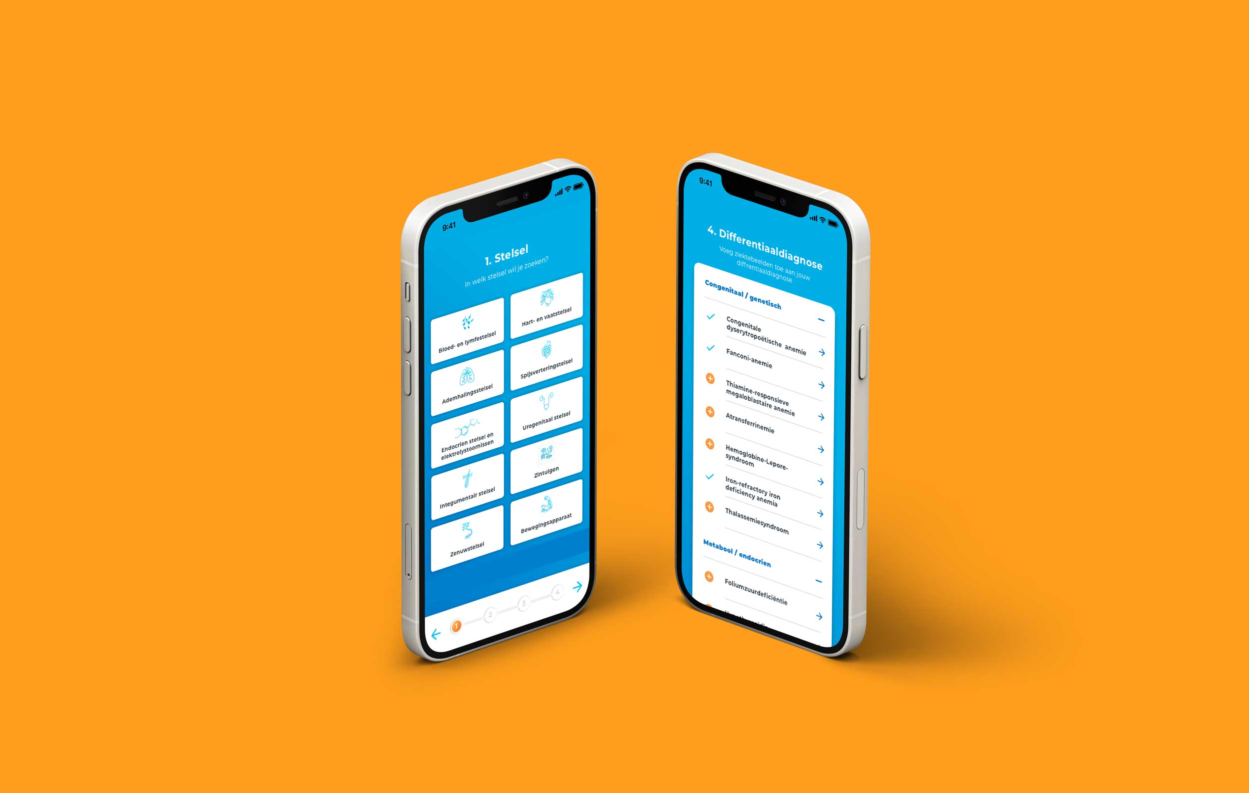 Mobiele mock-up DD op Zak applicatie